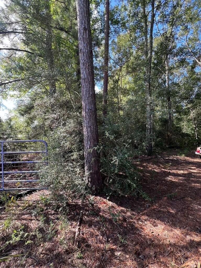 25.43 acres in Texas County - photo 8