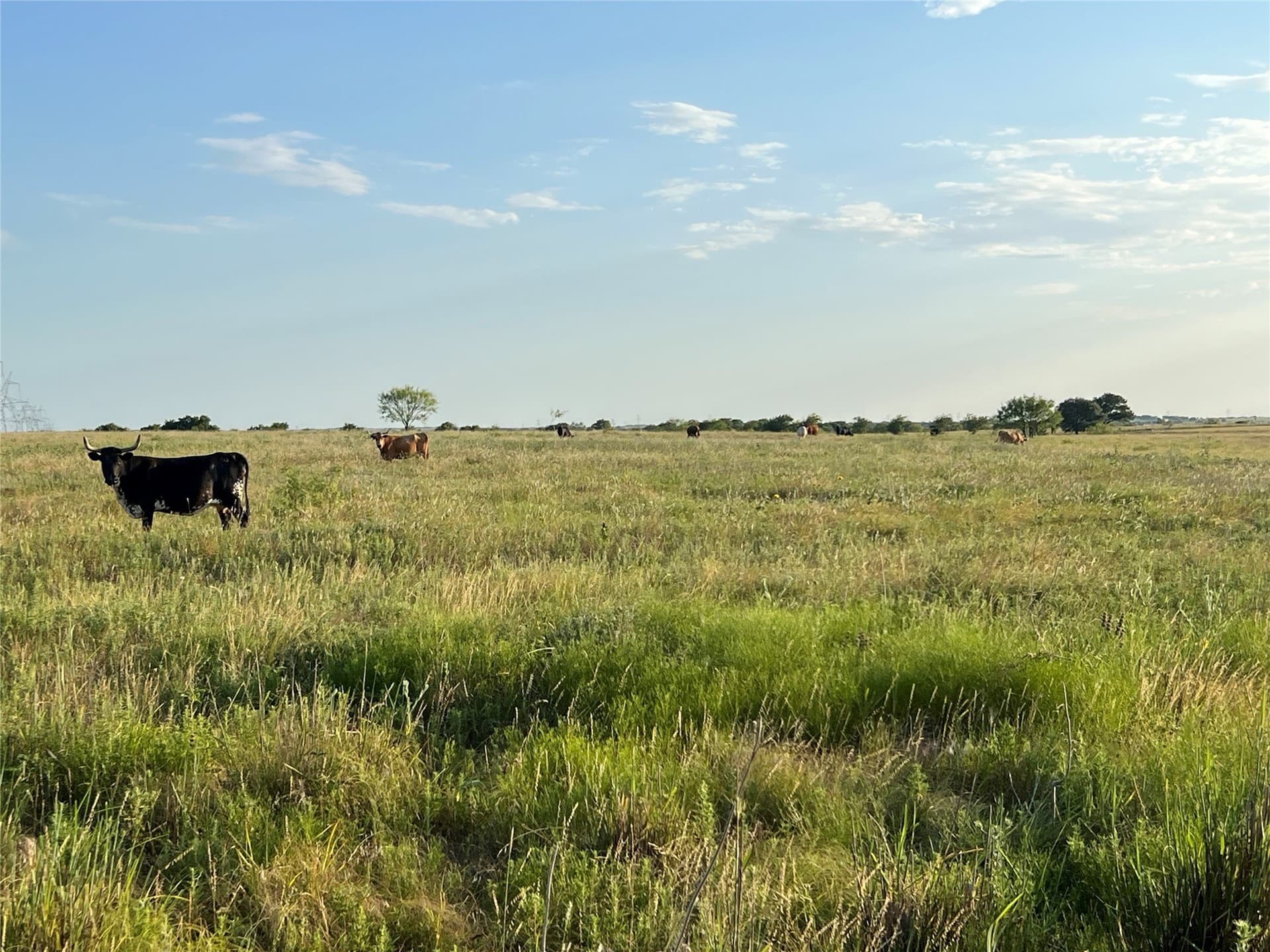 116.87 acres in Johnson County - photo 5