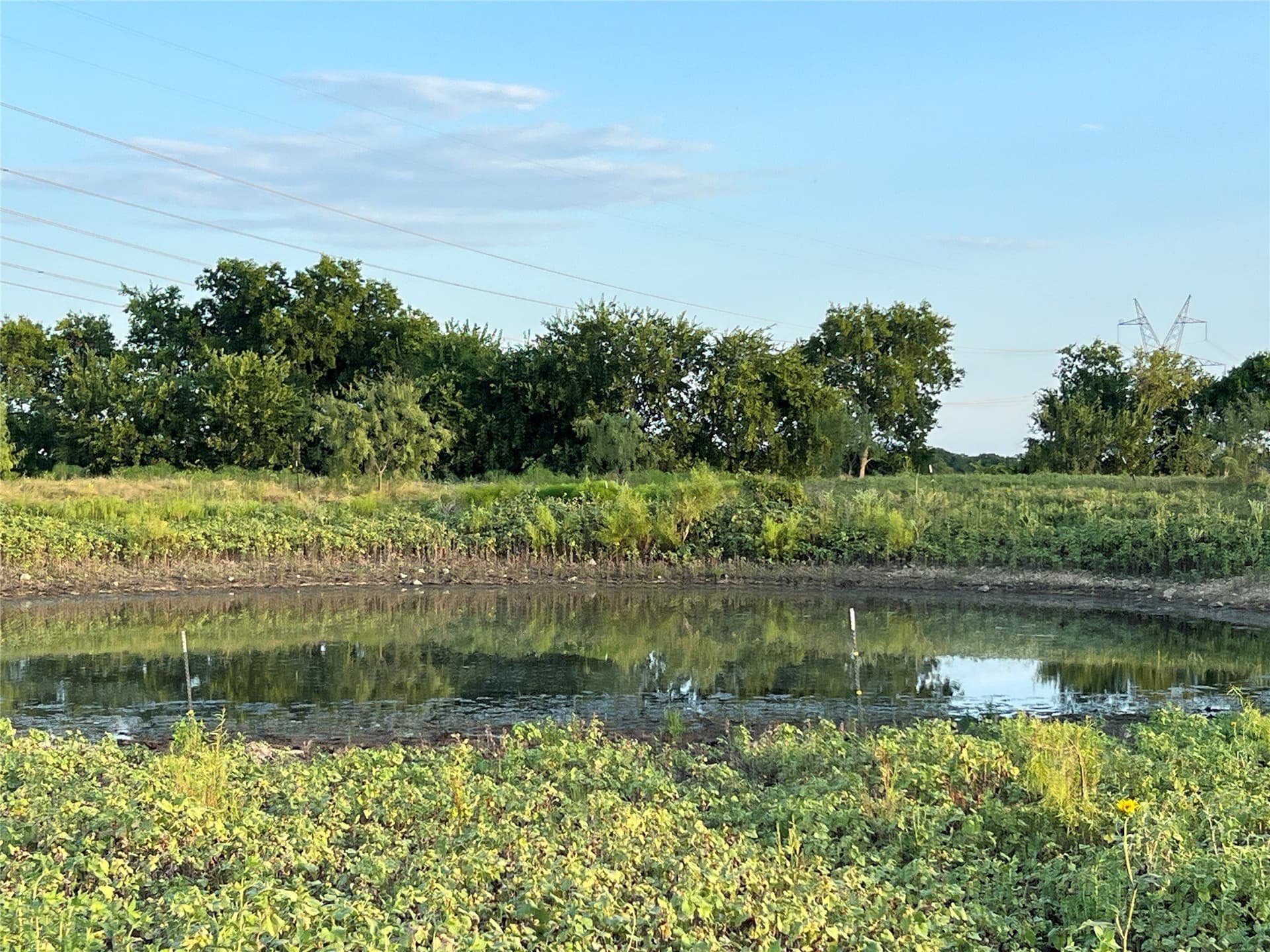 116.87 acres in Johnson County - photo 20