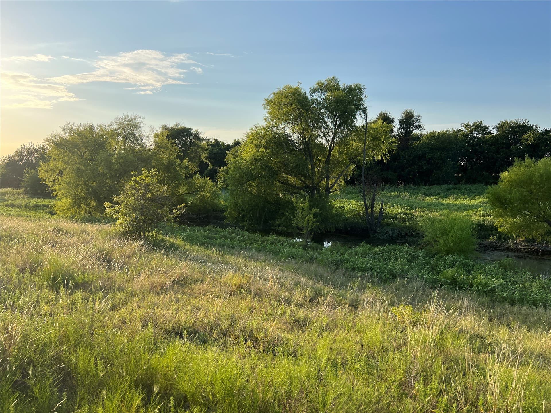 116.87 acres in Johnson County - photo 13