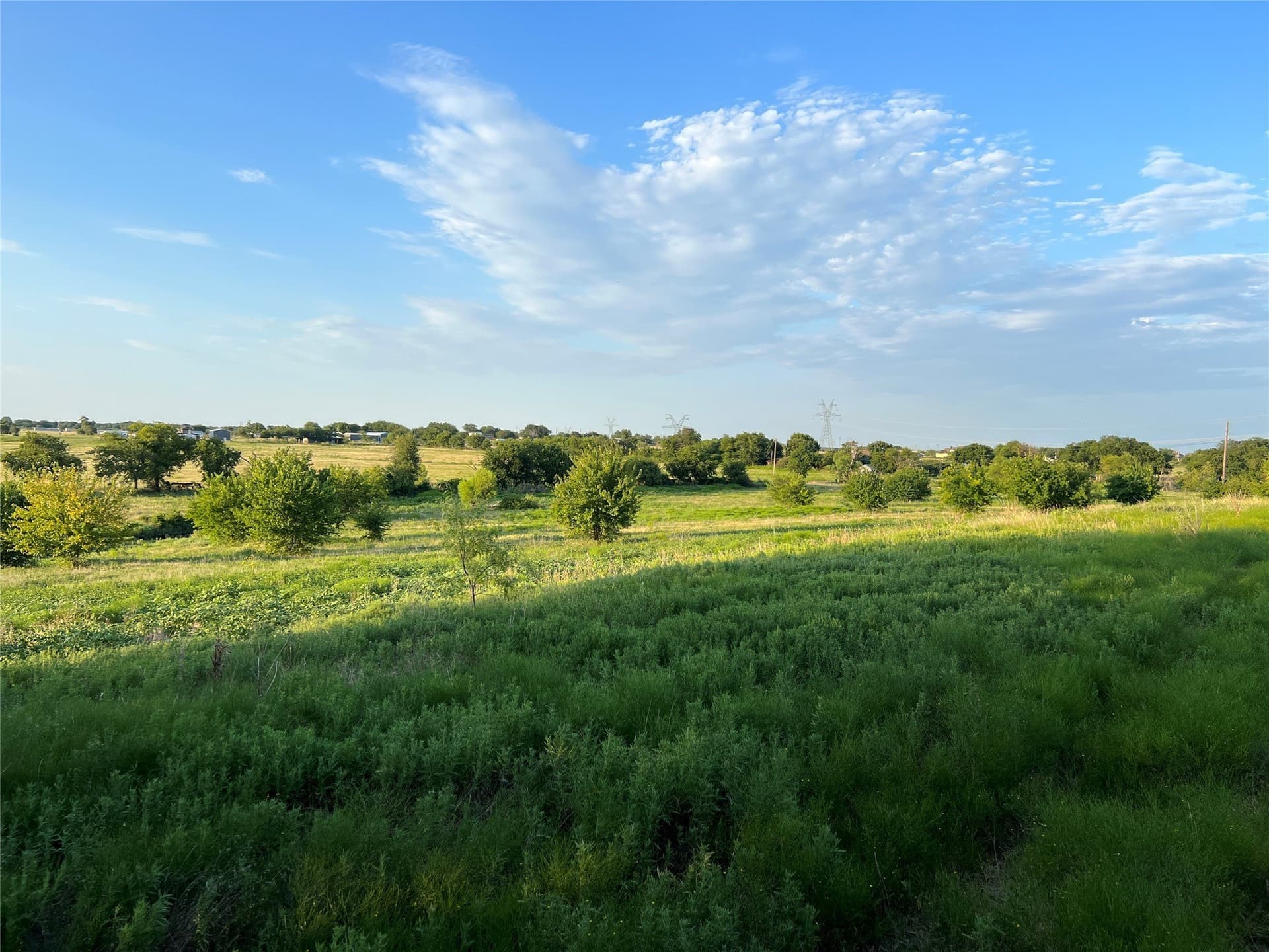 116.87 acres in Johnson County - photo 9