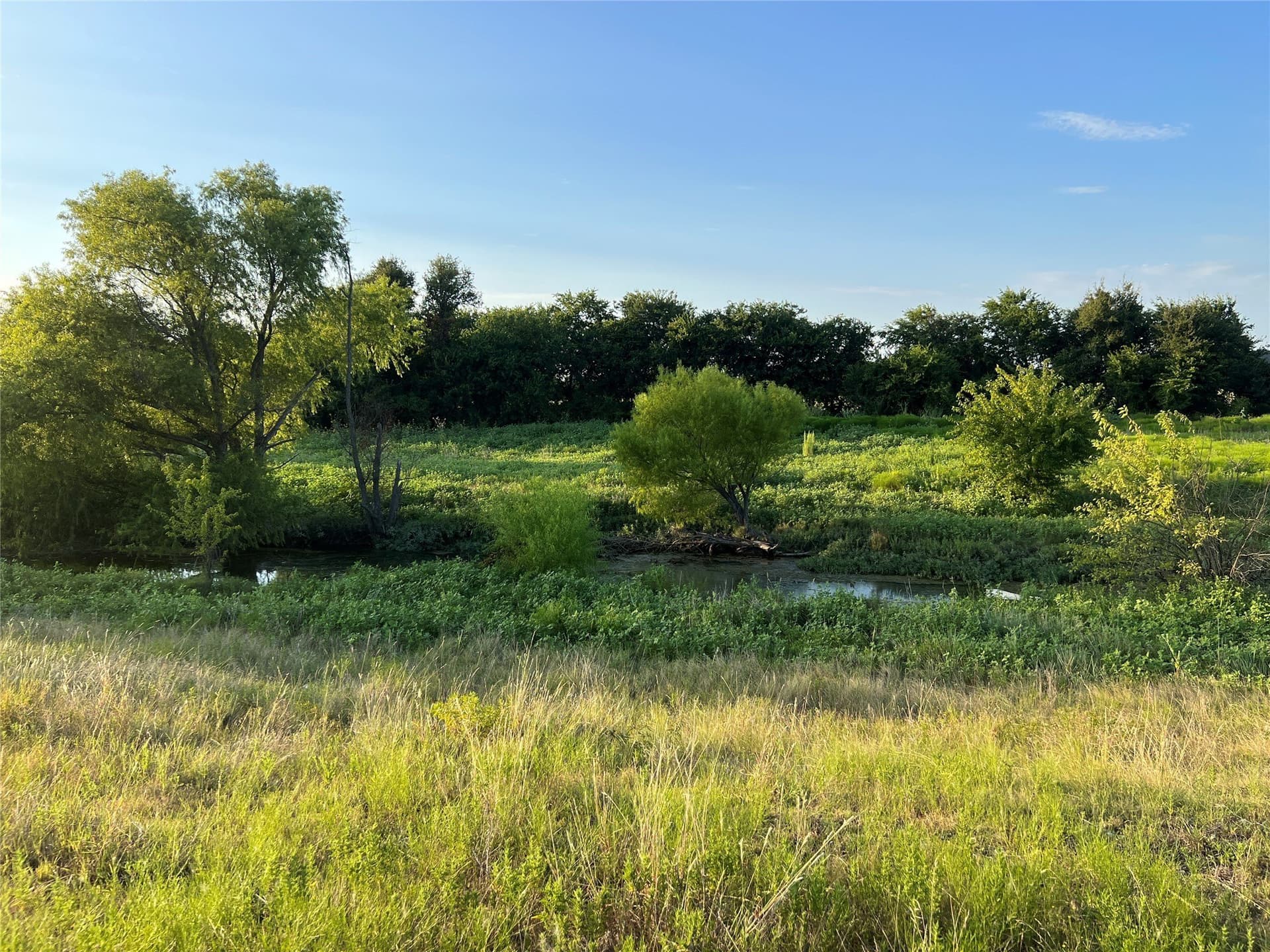 116.87 acres in Johnson County - photo 8