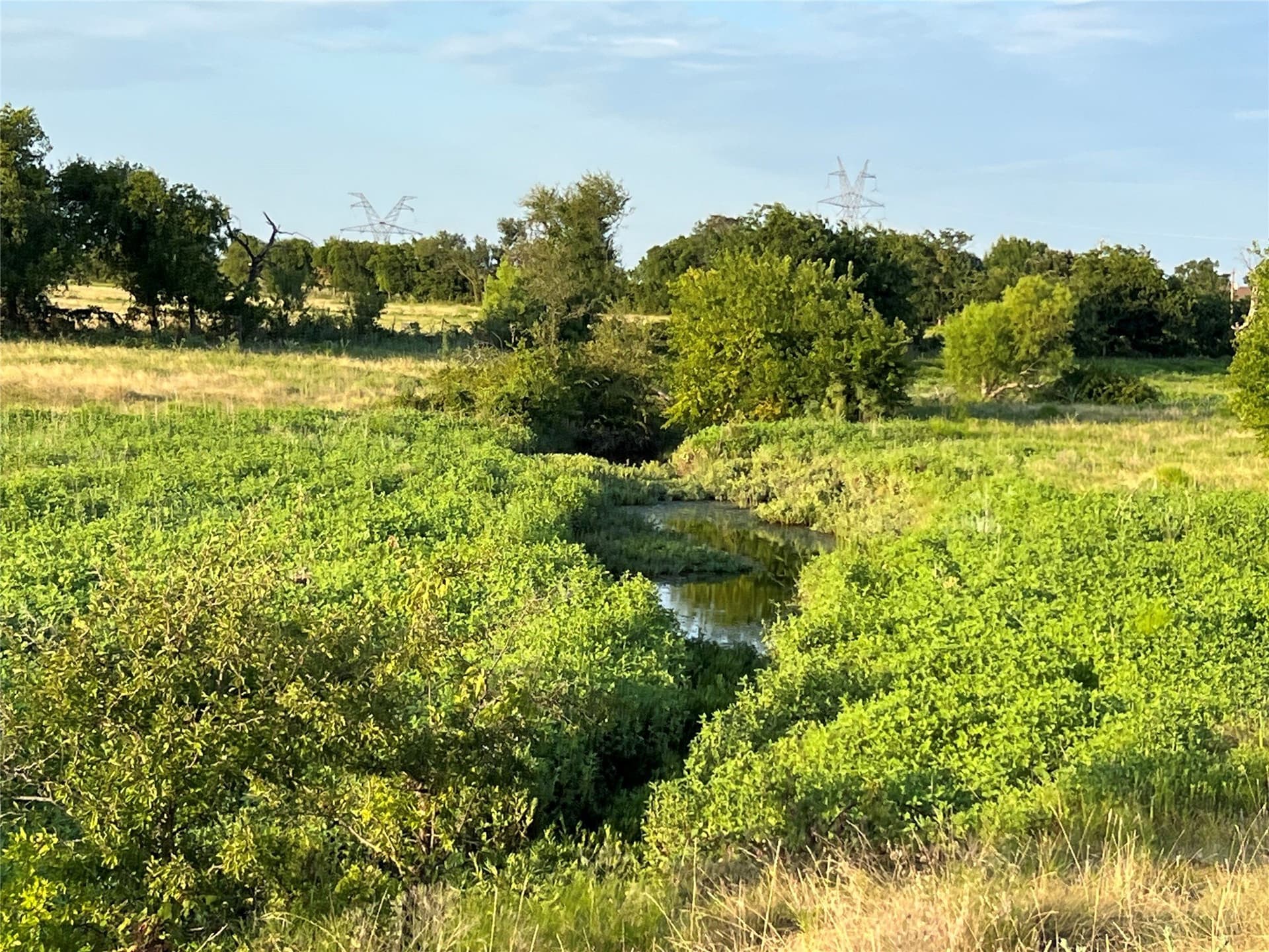 116.87 acres in Johnson County - photo 10