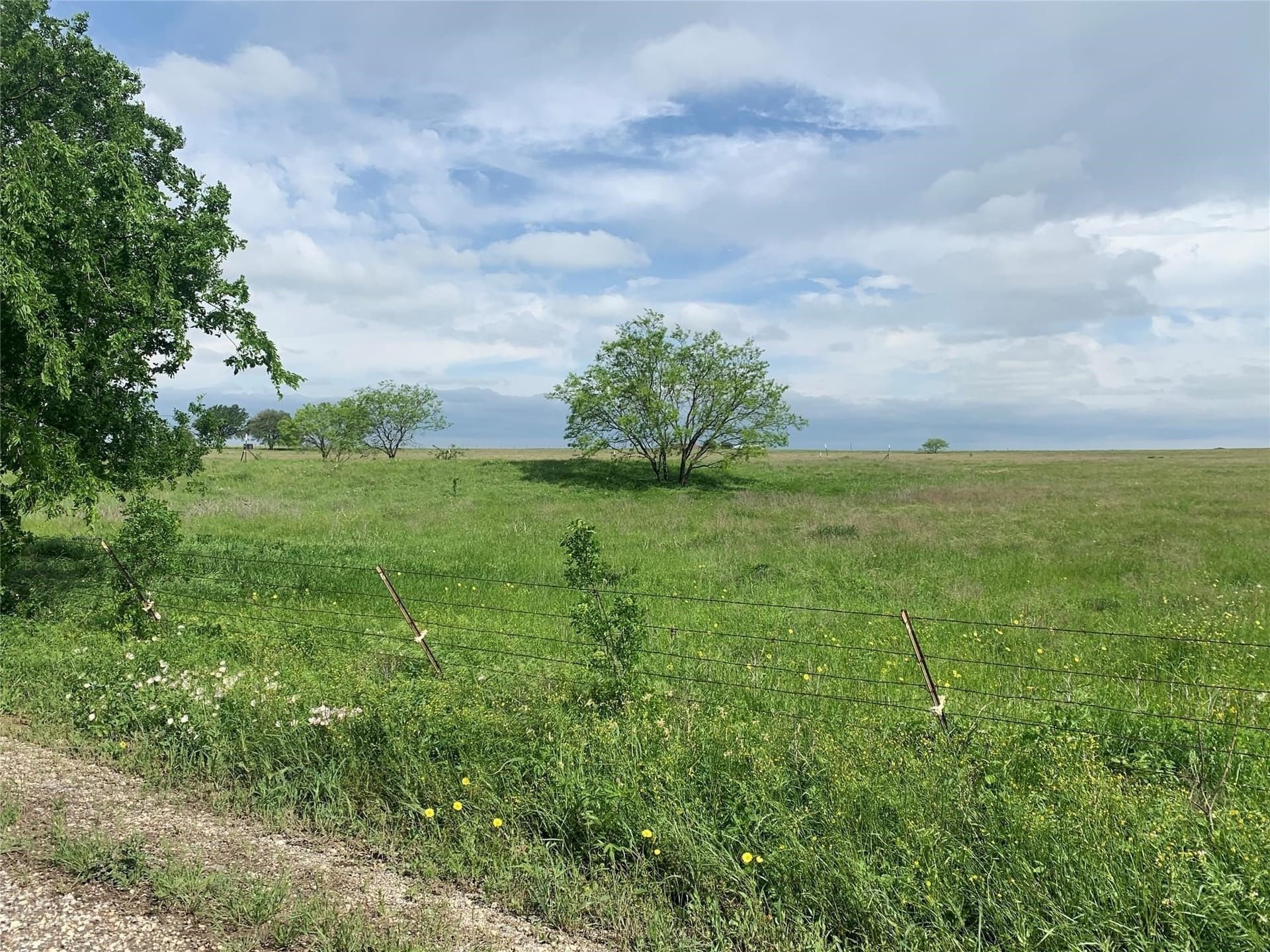 116.87 acres in Johnson County - photo 19
