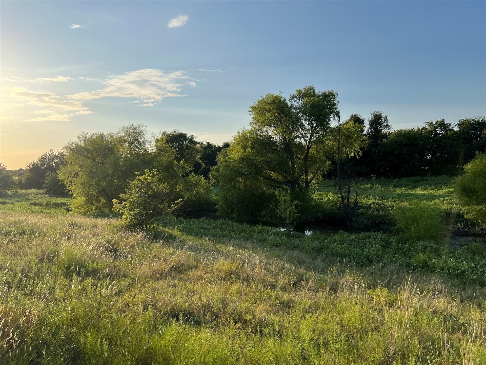 116.87 acres in Johnson County - photo 6