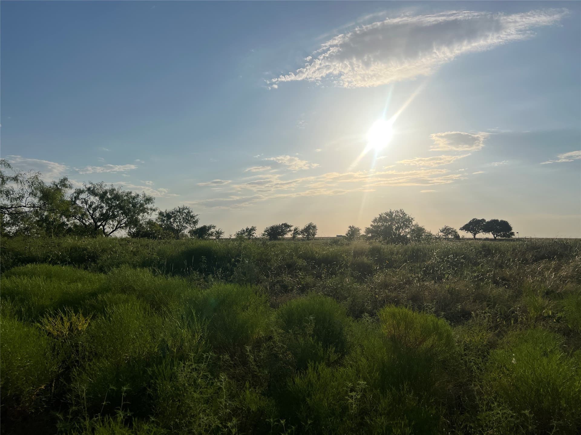 116.87 acres in Johnson County - photo 7