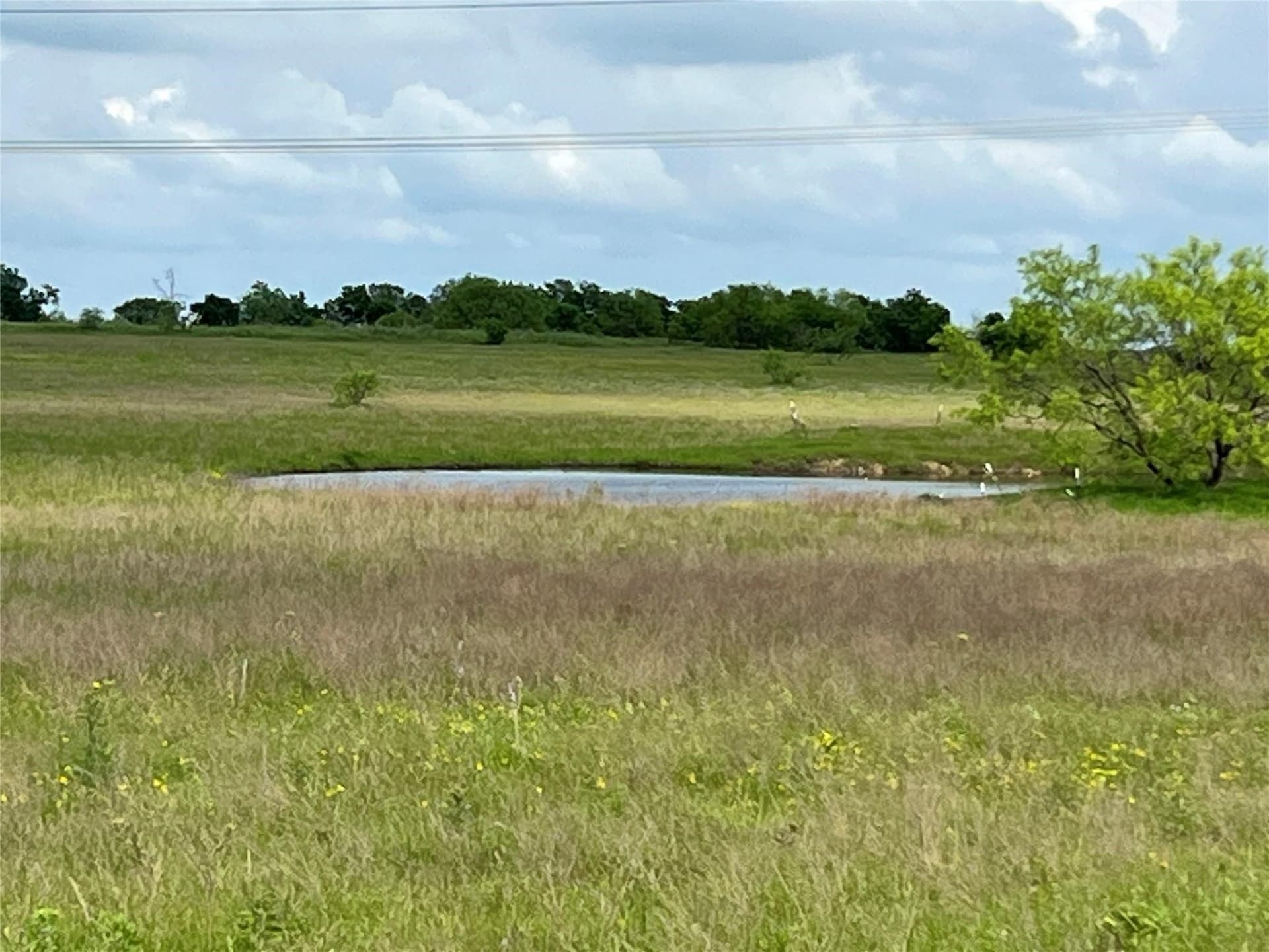 116.87 acres in Johnson County