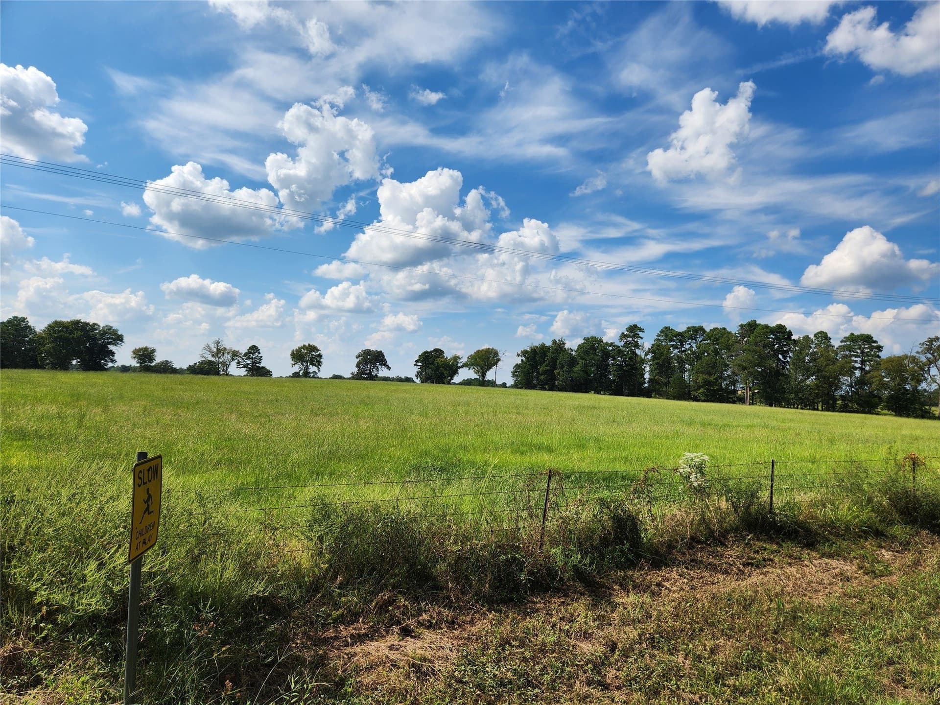 3.35 acres in Titus County gallery image 2
