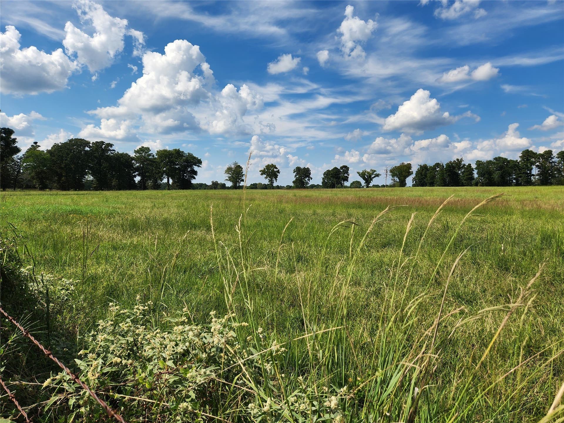 3.35 acres in Titus County gallery image 3