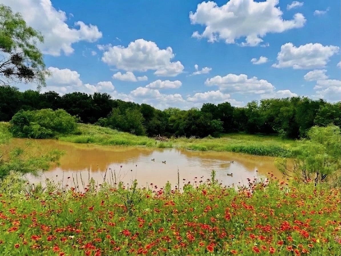 103.6 acres in Brown County - photo 8