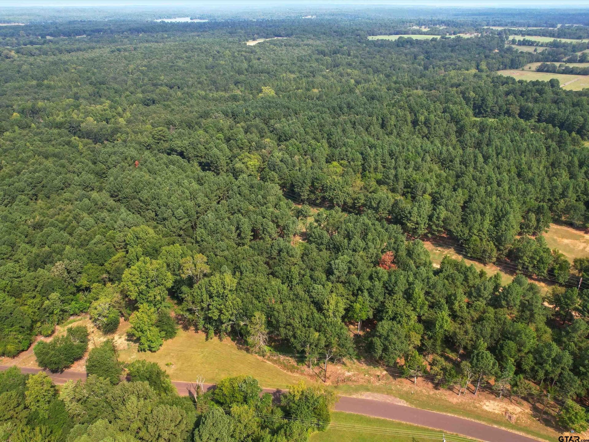 10 acres in Wood County gallery image 3