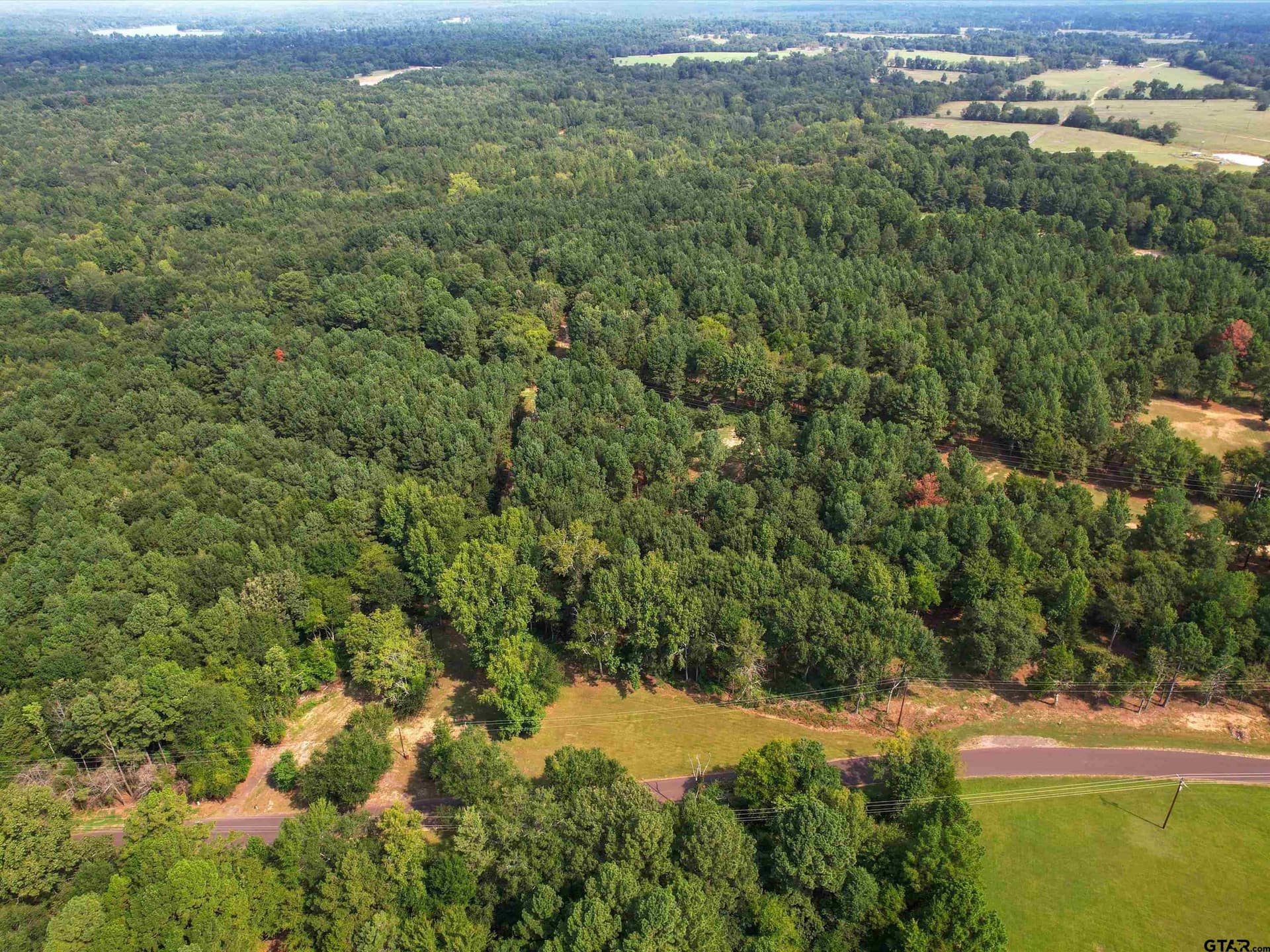 10 acres in Wood County gallery image 4