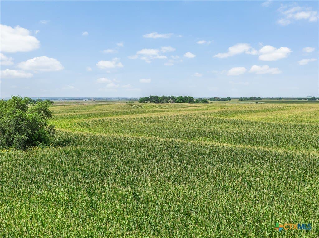151 acres in Travis County - photo 16