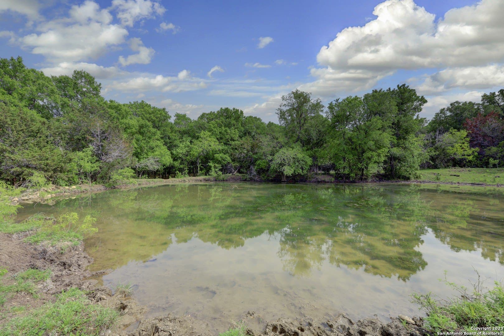 172 acres in Hays County - photo 37