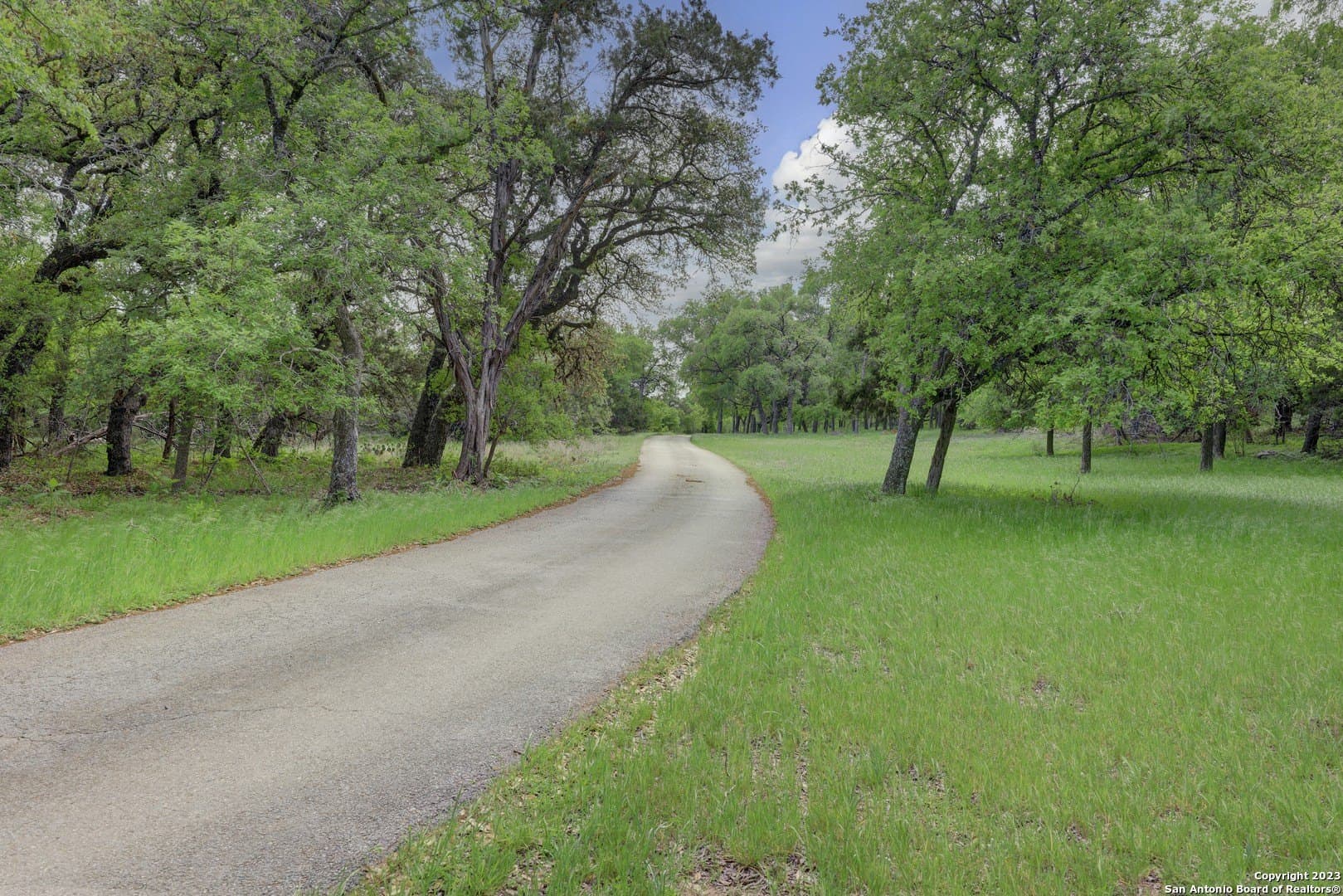 172 acres in Hays County - photo 30