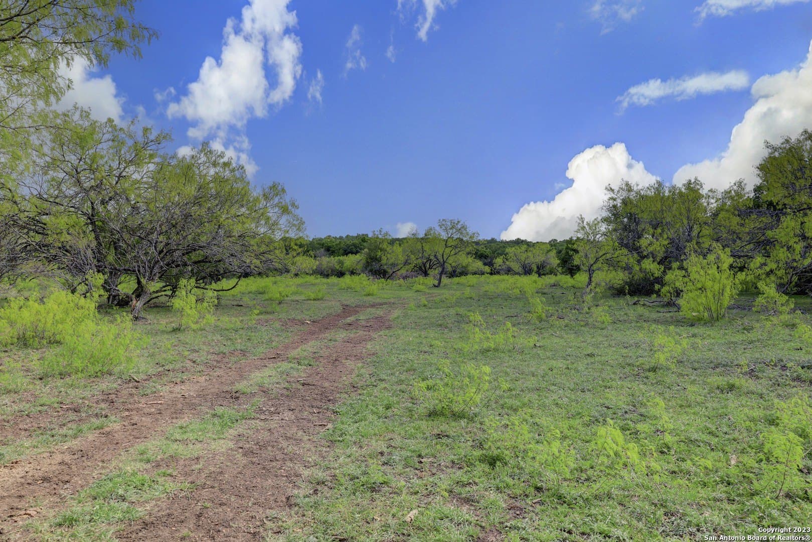 172 acres in Hays County - photo 35