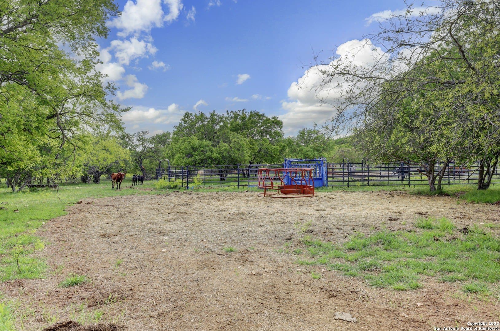 172 acres in Hays County - photo 34