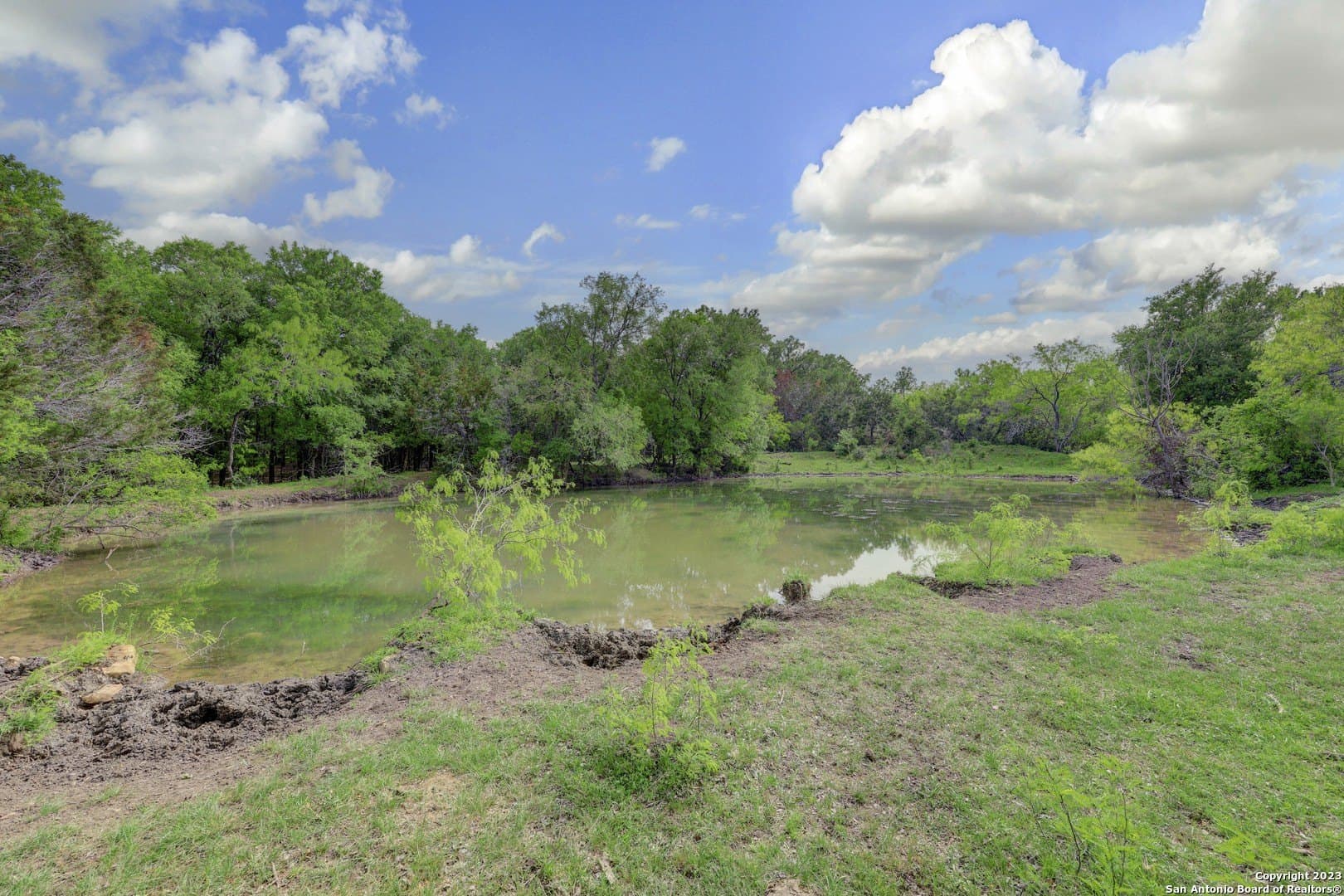 172 acres in Hays County - photo 38