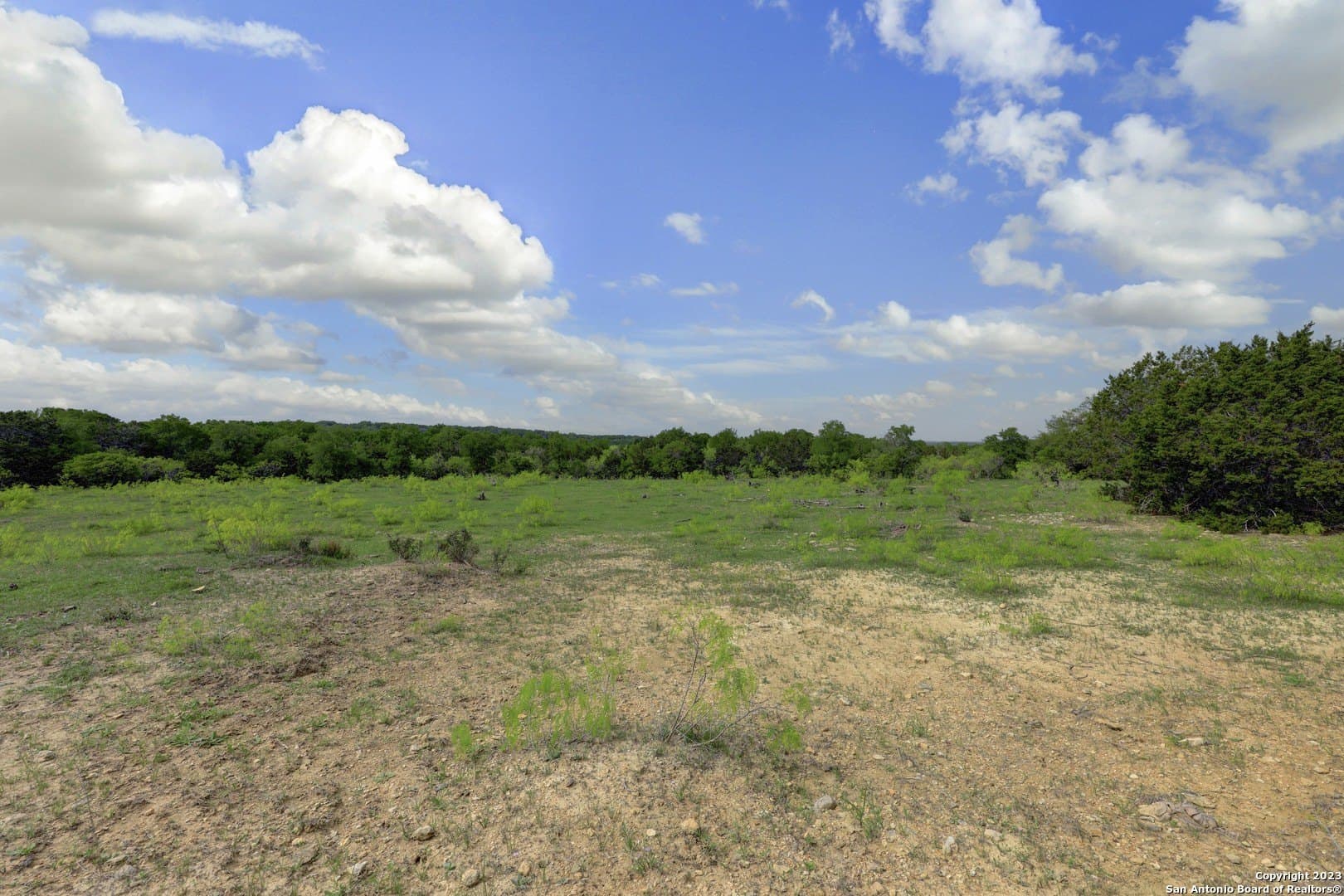 172 acres in Hays County - photo 39