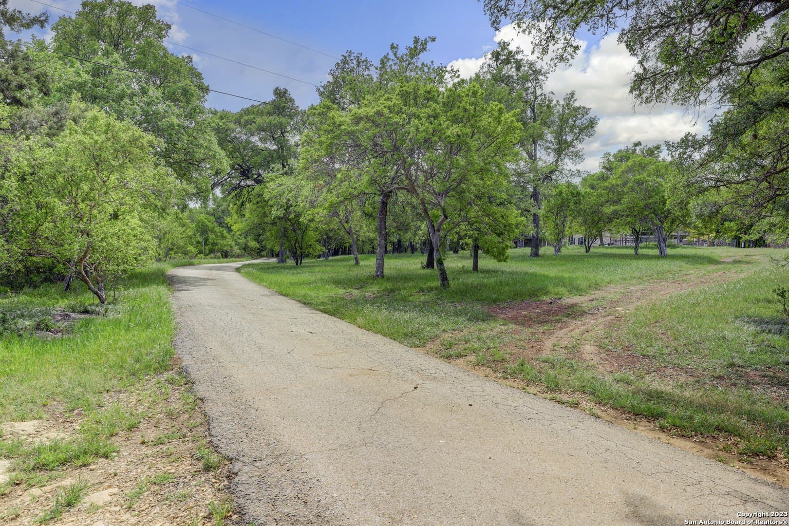 172 acres in Hays County - photo 31