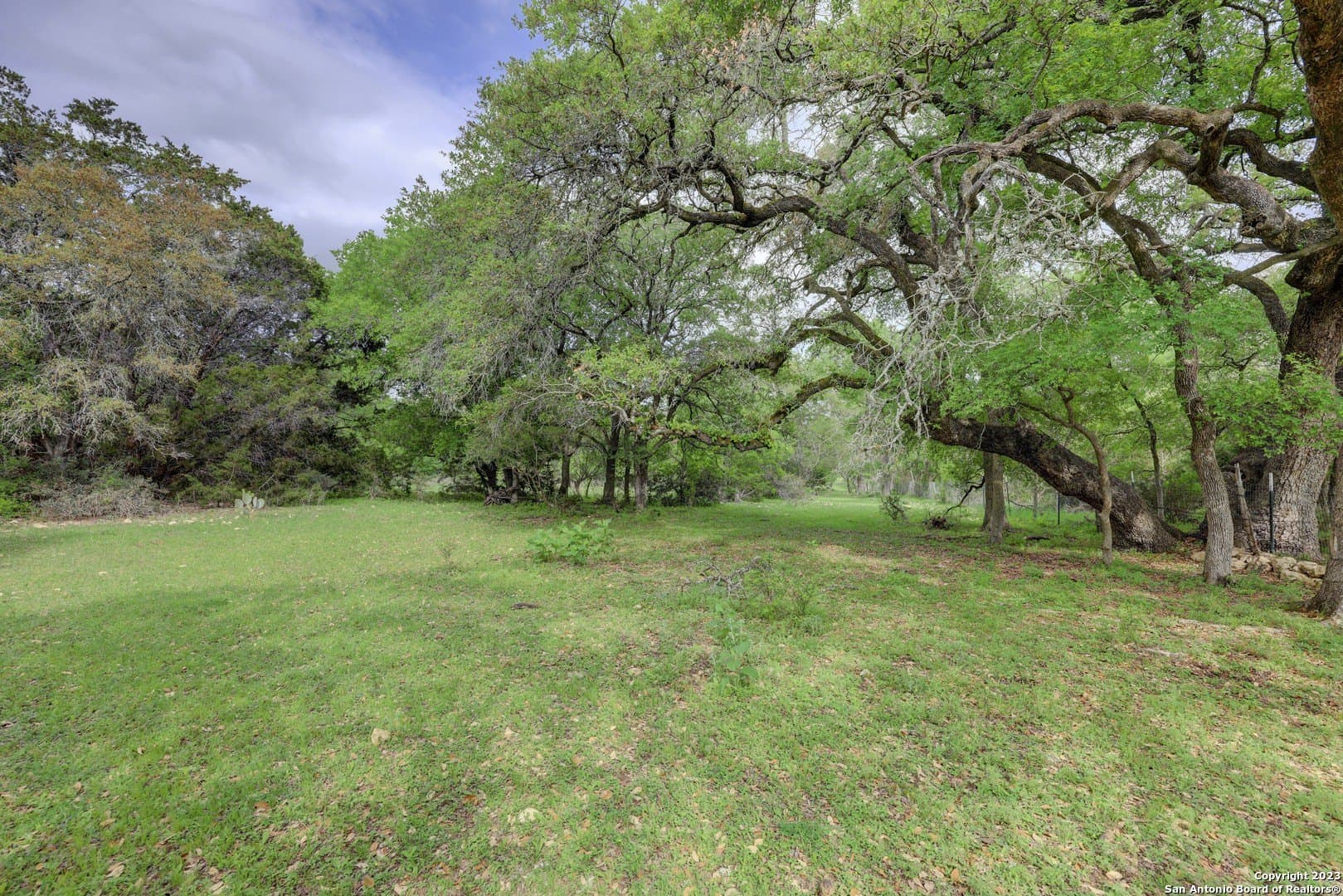 172 acres in Hays County - photo 41
