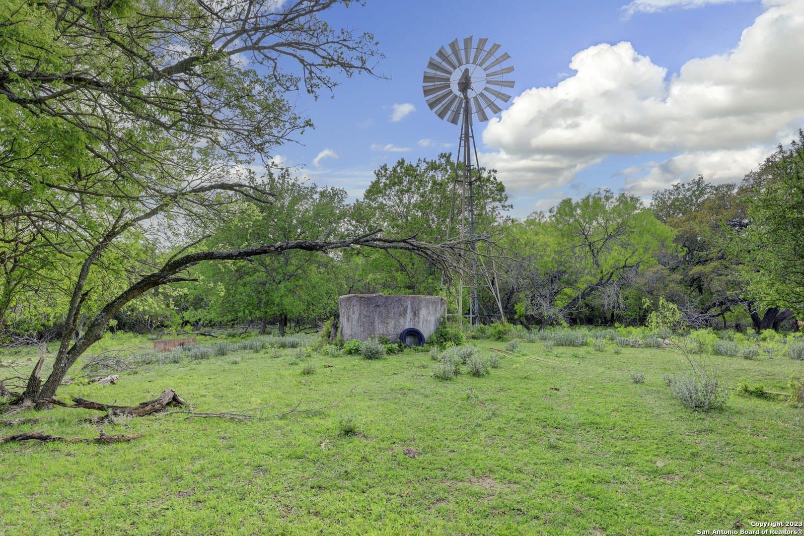 172 acres in Hays County - photo 43