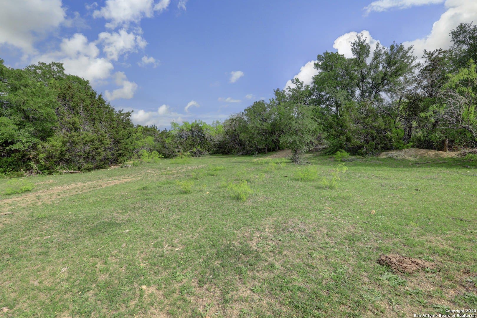 172 acres in Hays County - photo 40