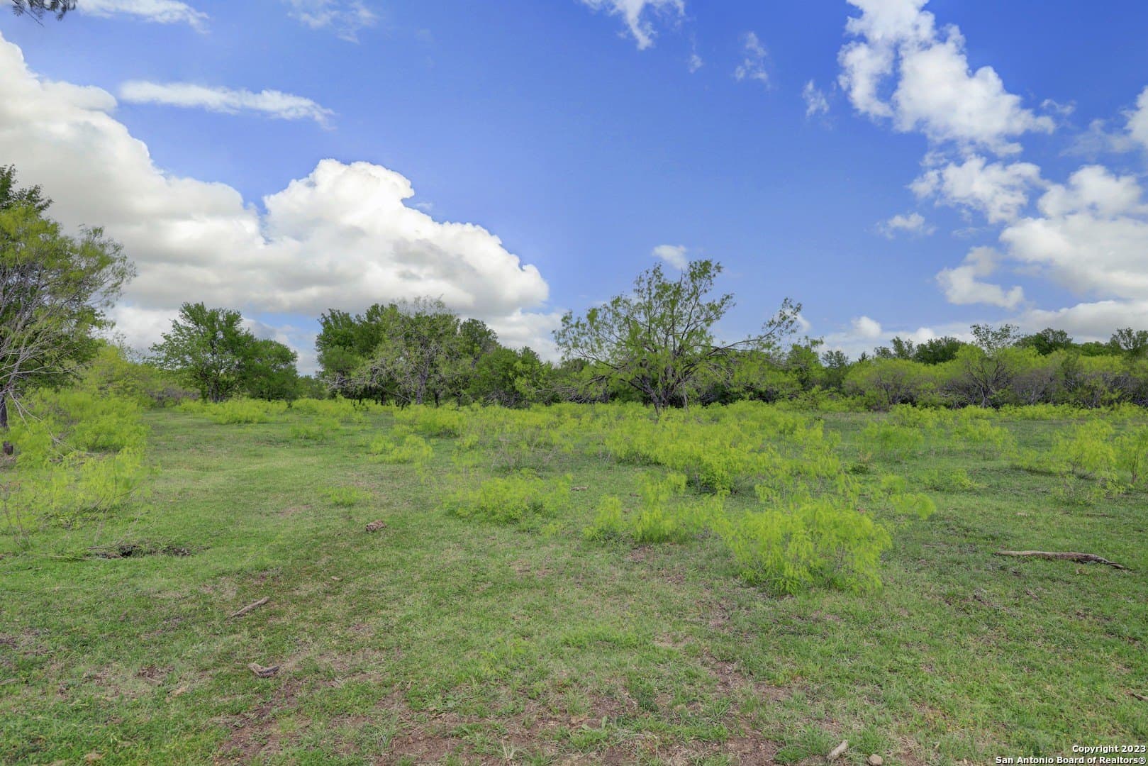 172 acres in Hays County - photo 36