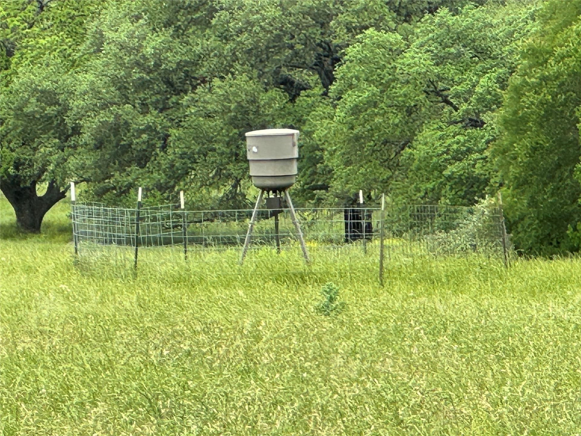 139.64 acres in Falls County - photo 9