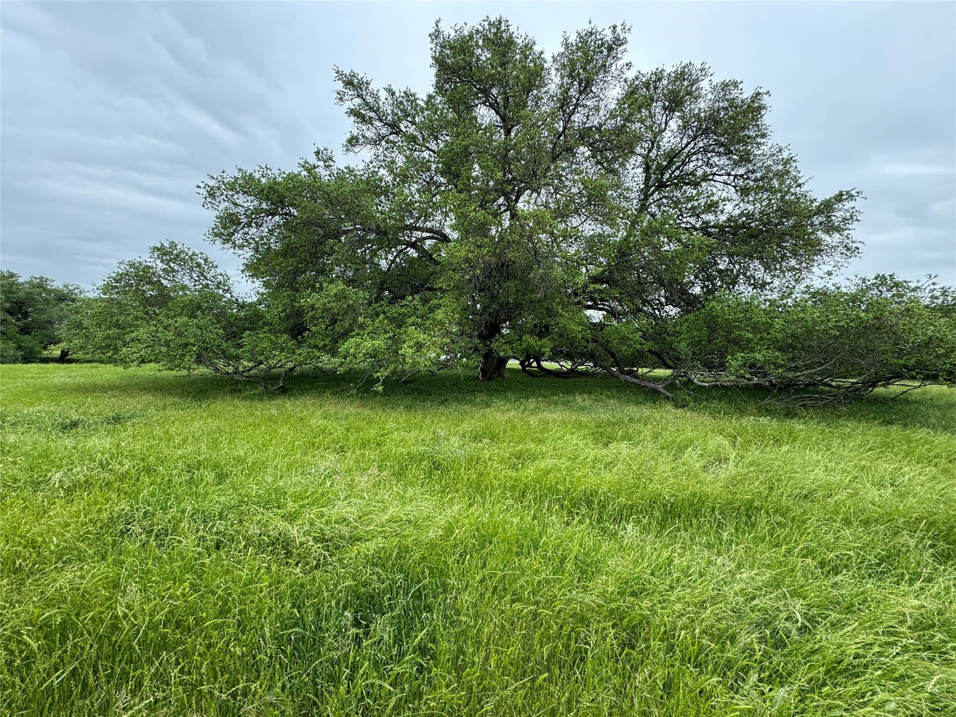 139.64 acres in Falls County - photo 18