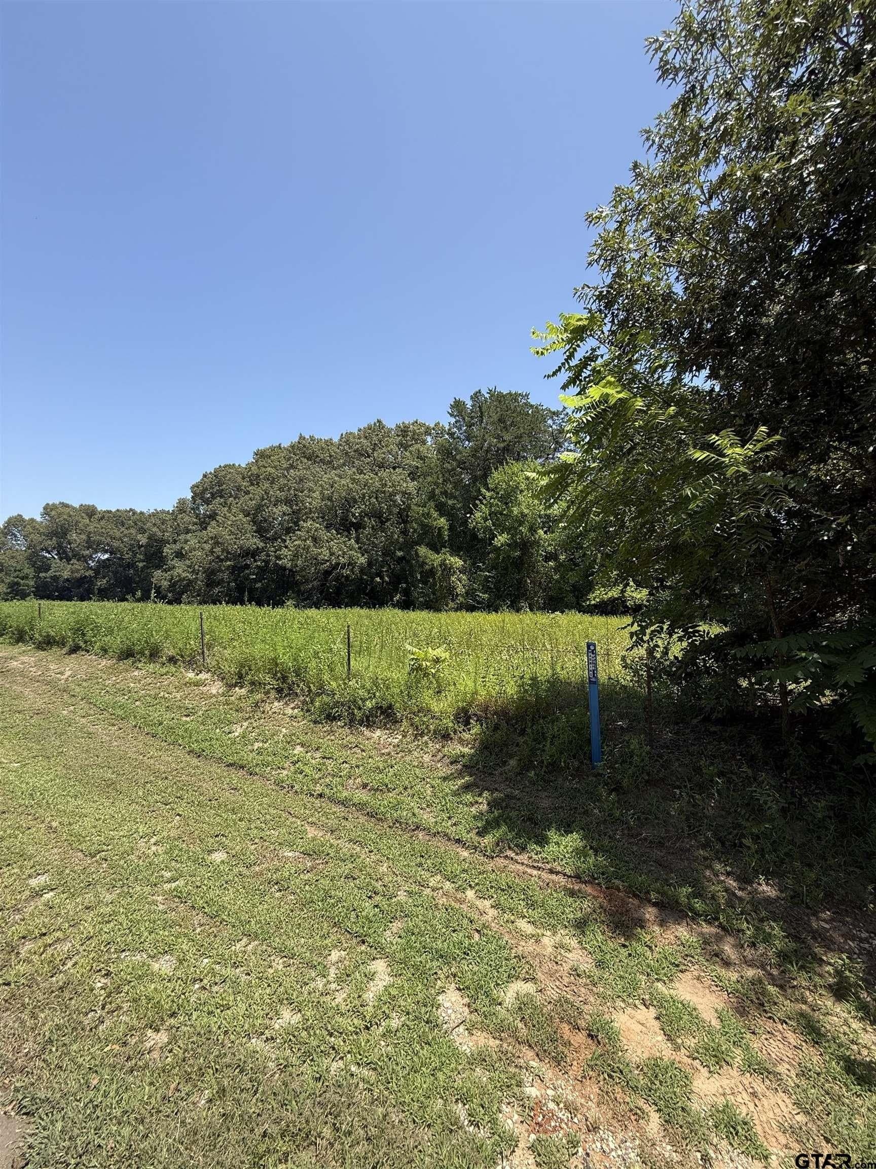 44.4 acres in Cherokee County gallery image 3