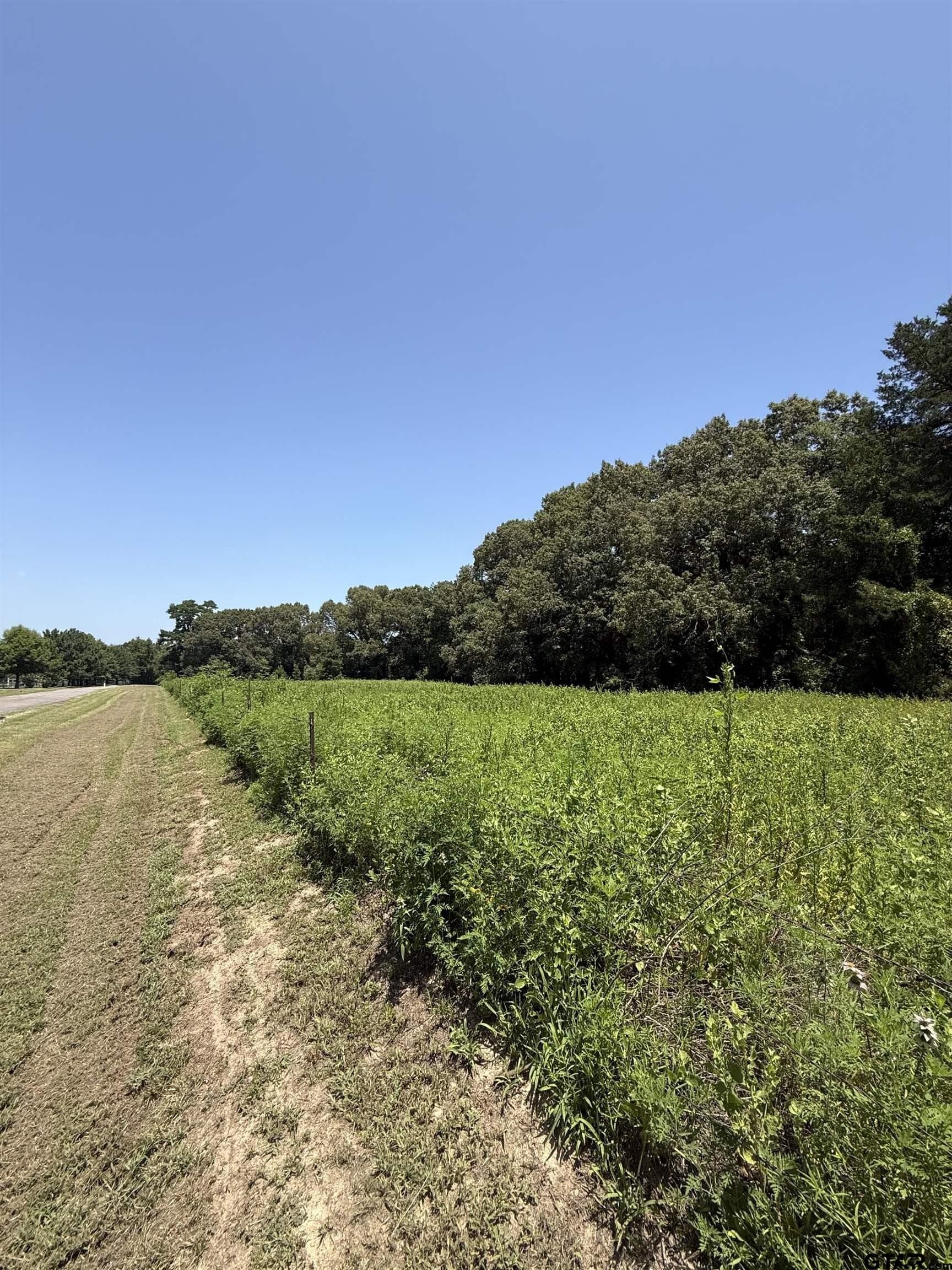44.4 acres in Cherokee County gallery image 2