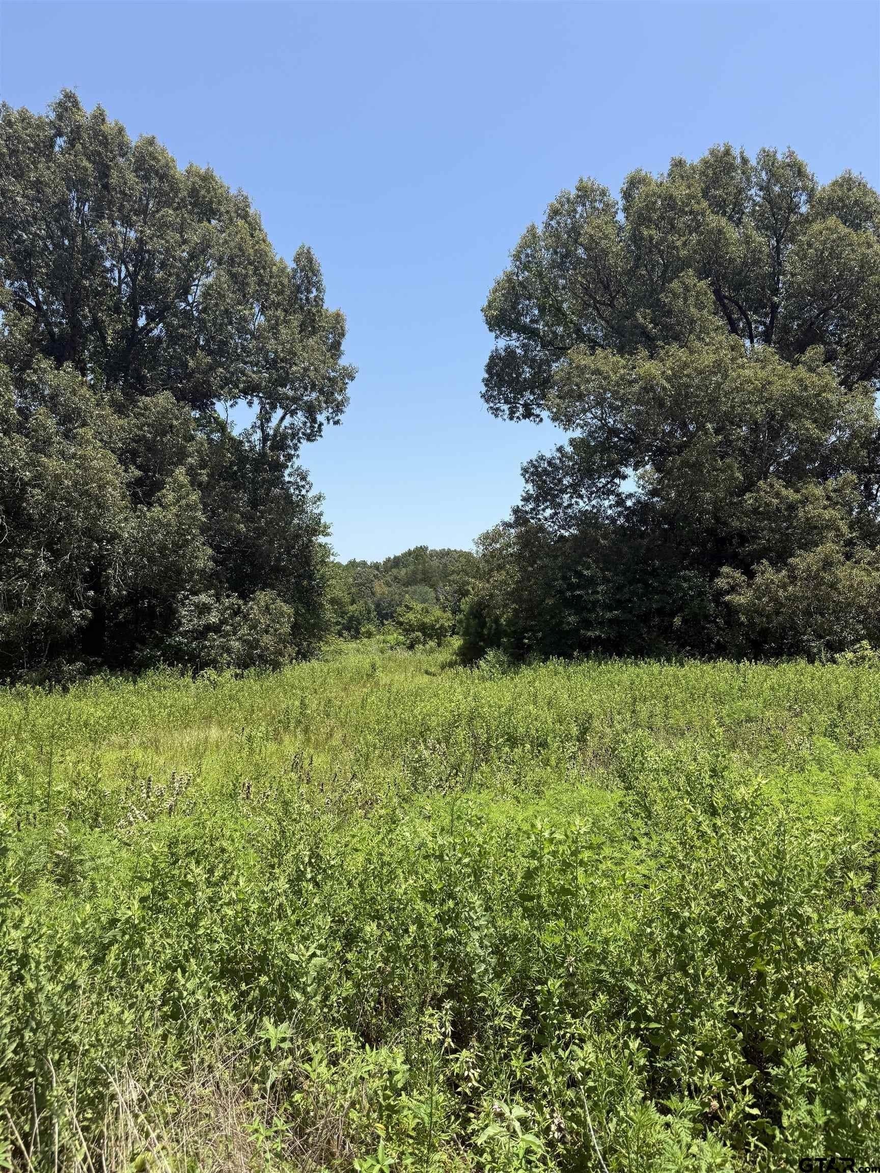 44.4 acres in Cherokee County featured view