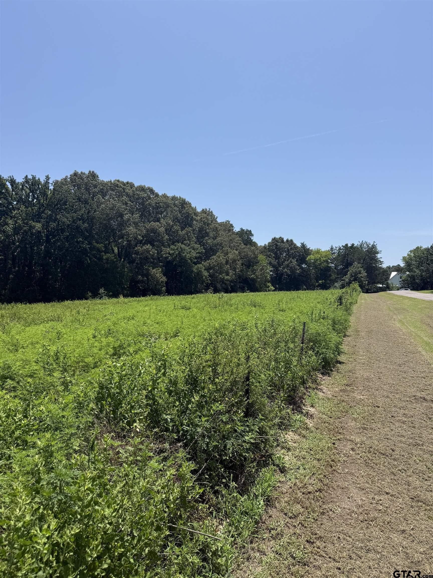 44.4 acres in Cherokee County gallery image 4