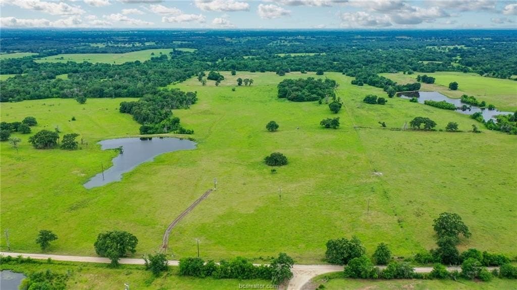 21.72 acres in Grimes County gallery image 2