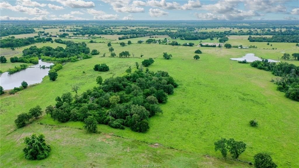 21.72 acres in Grimes County gallery image 4