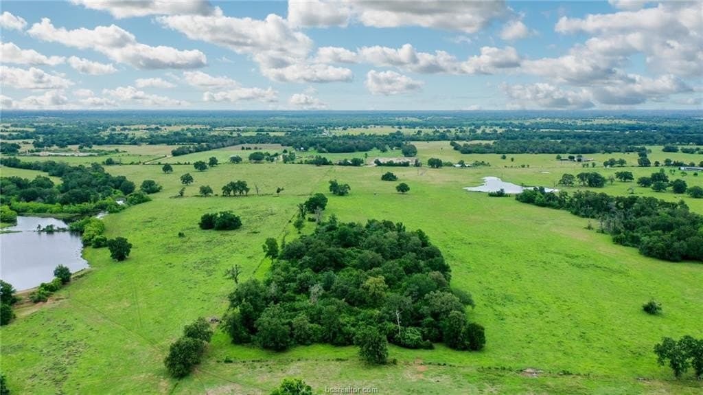 21.72 acres in Grimes County featured view