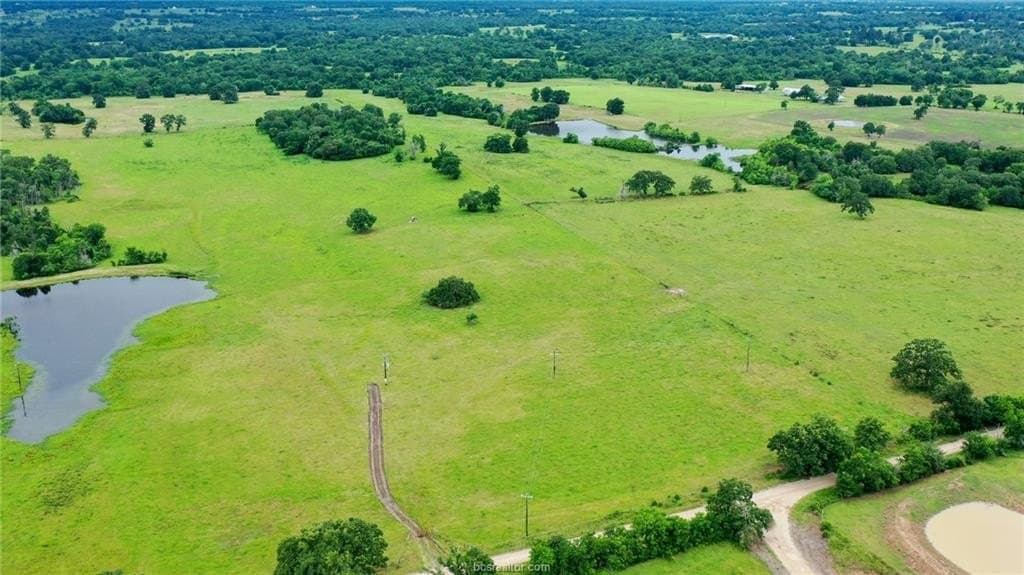 21.72 acres in Grimes County gallery image 3