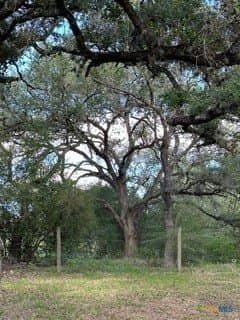 40 acres in DeWitt County - photo 4