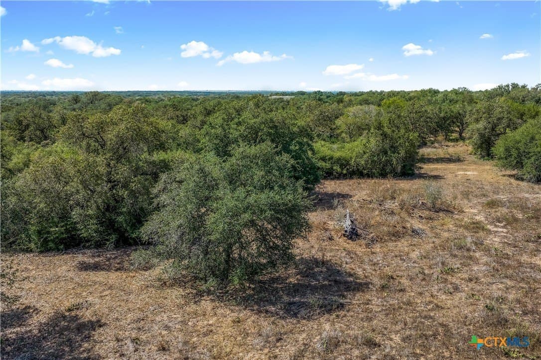 40 acres in DeWitt County - photo 28
