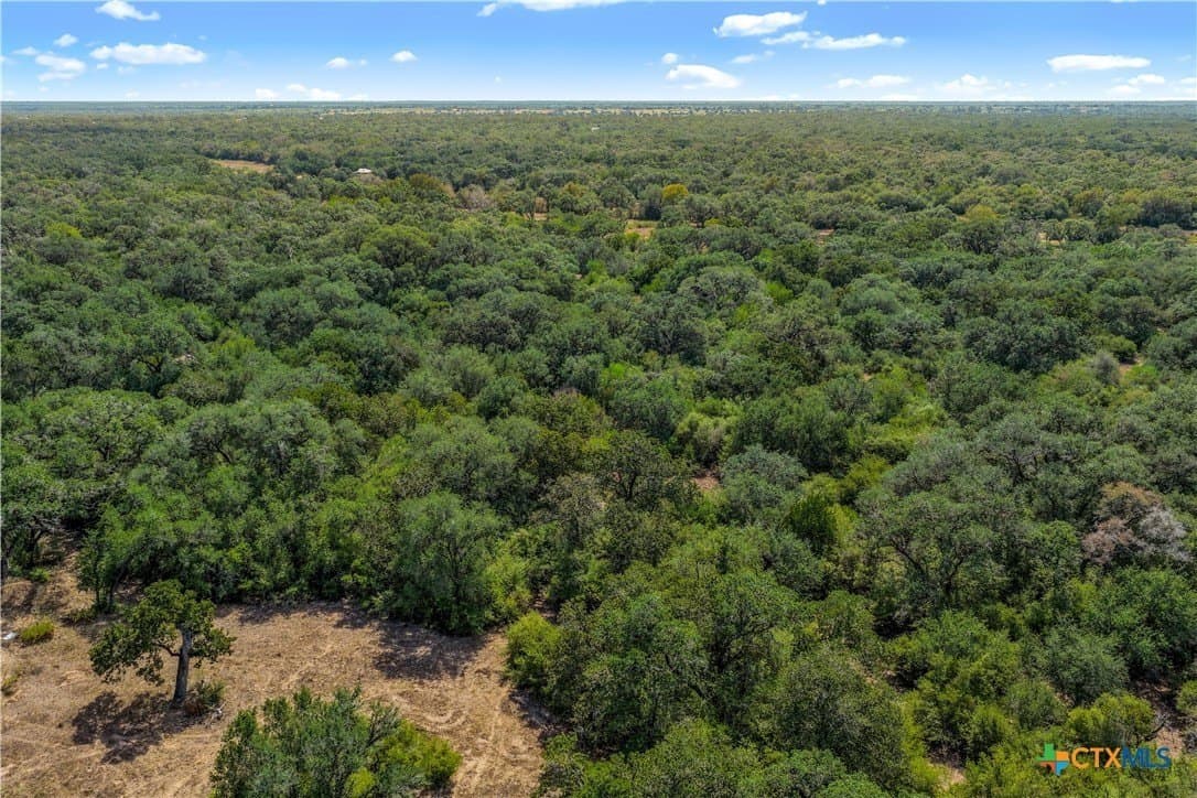 40 acres in DeWitt County - photo 26
