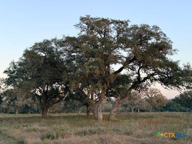 40 acres in DeWitt County - photo 11