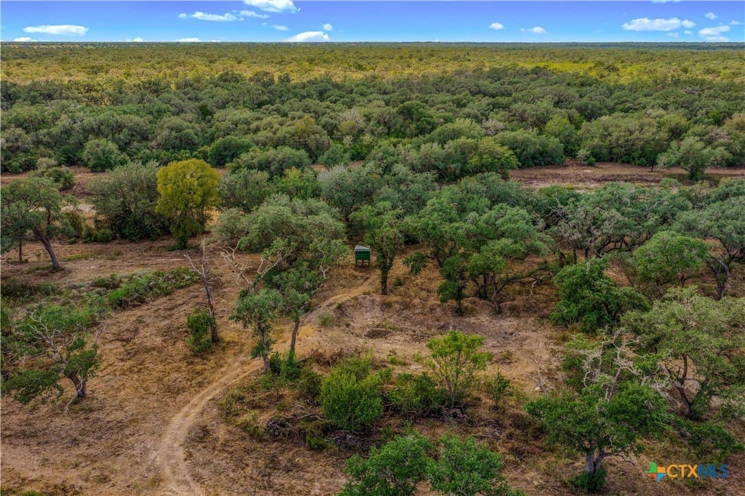 40 acres in DeWitt County - photo 22