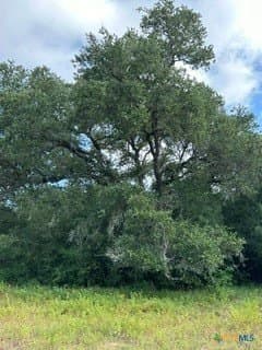 40 acres in DeWitt County - photo 10