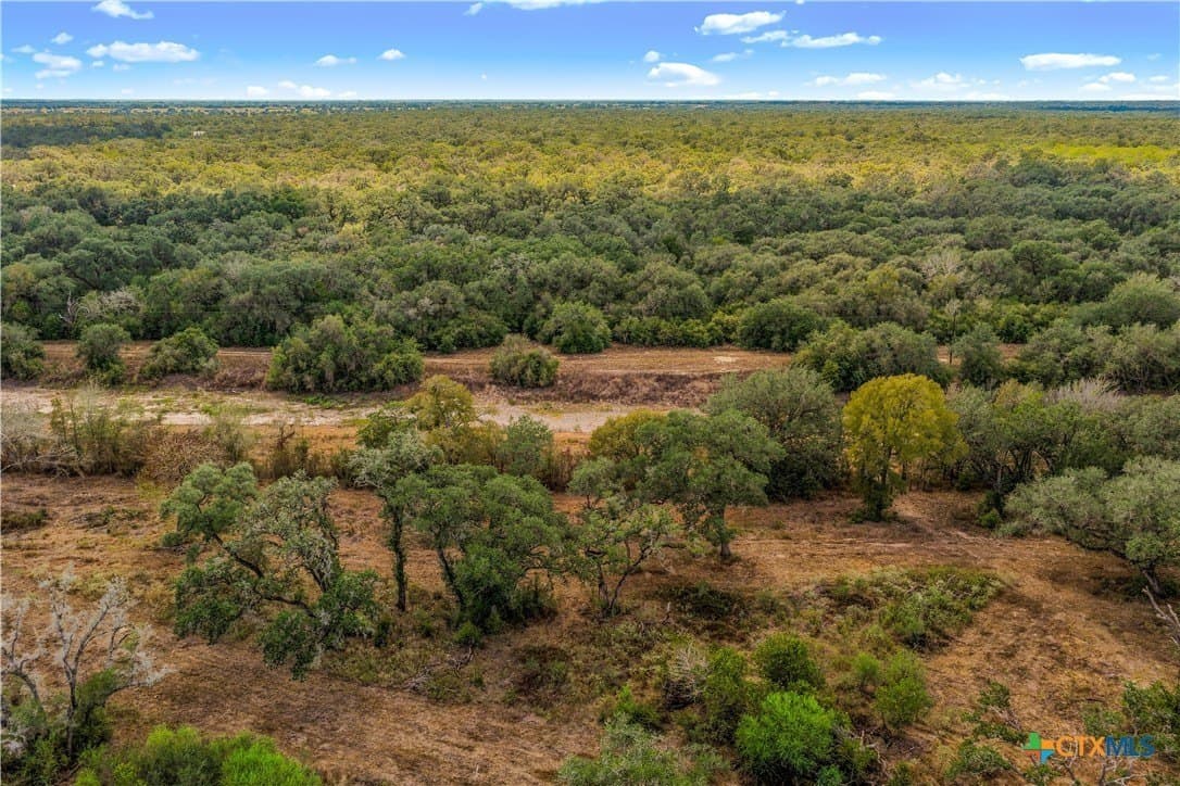 40 acres in DeWitt County - photo 21
