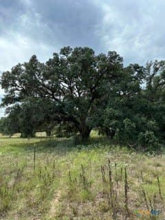 40 acres in DeWitt County - photo 5