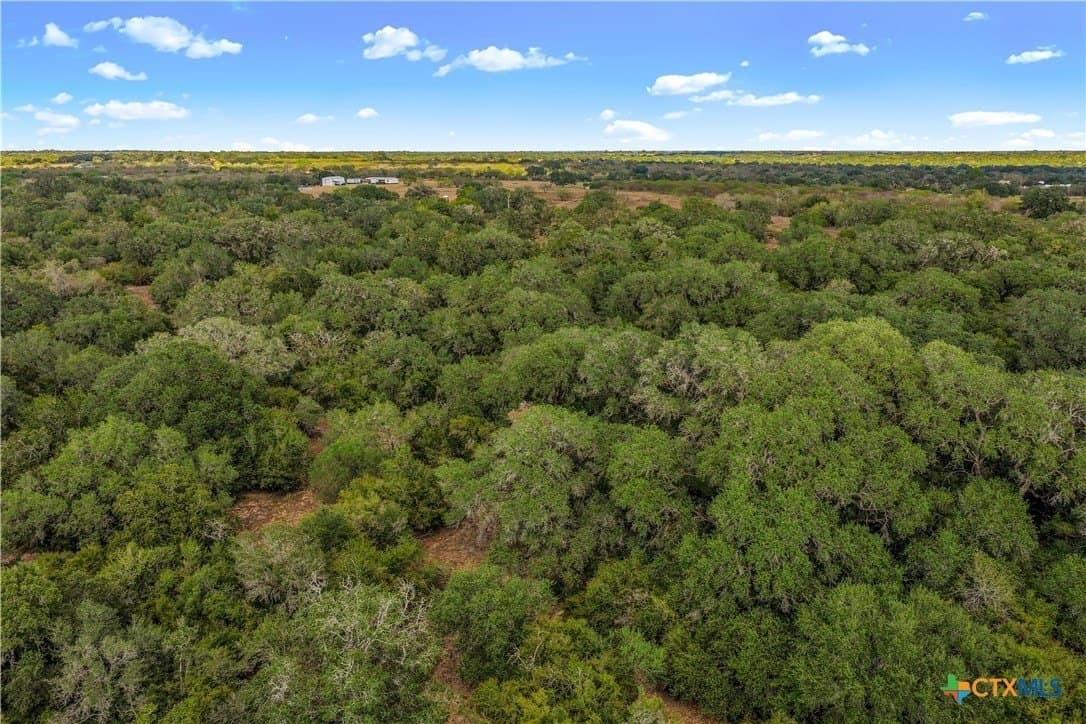 40 acres in DeWitt County - photo 23