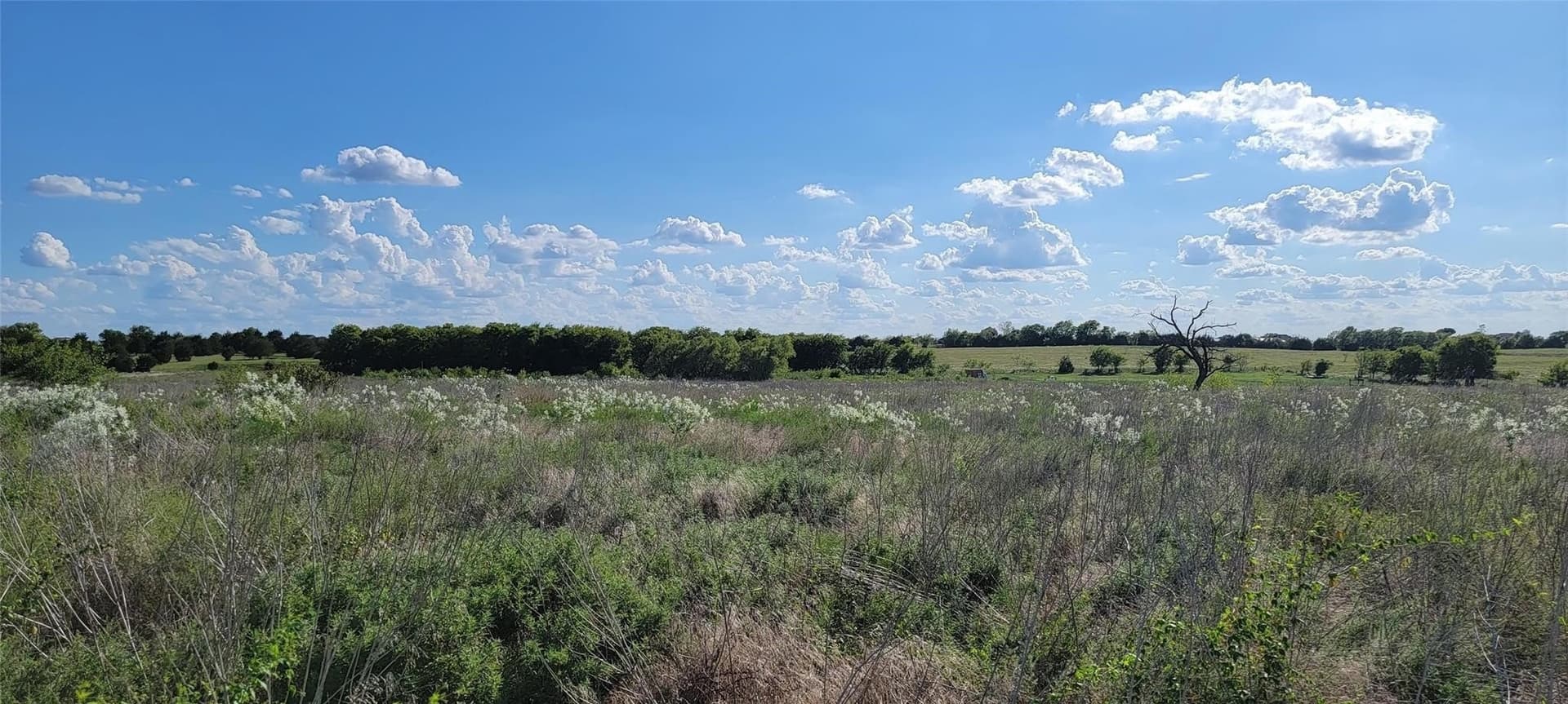 17.85 acres in Kaufman County featured view