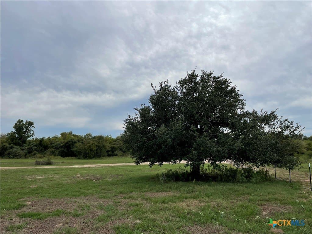 5.01 acres in Victoria County - photo 7