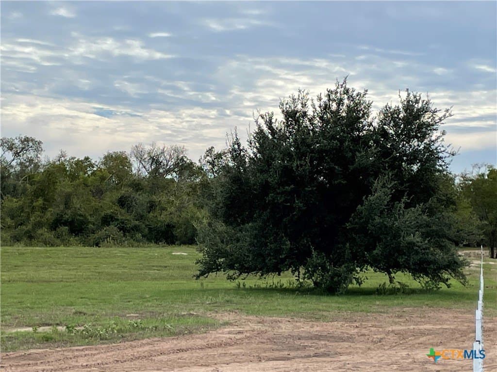 5.01 acres in Victoria County - photo 8